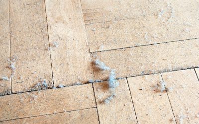 My House is Always Dusty! What Should I Do?