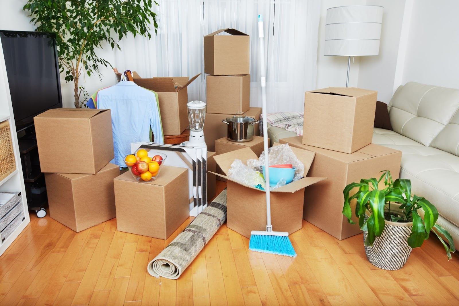 A living room filled with cardboard moving boxes, household items, a blue broom, and a rolled-up rug on a hardwood floor.